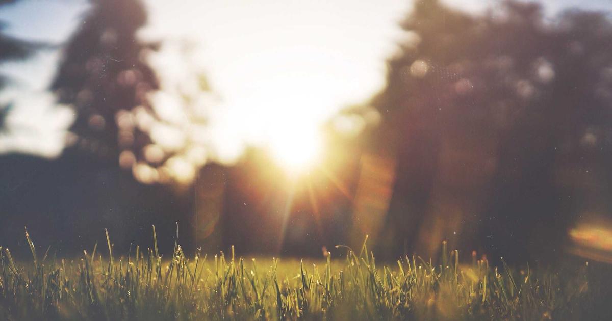 AI Watermarking Standards: How Google, Meta, and OpenAI Track Generated Content (And Why It Matters for Creators)