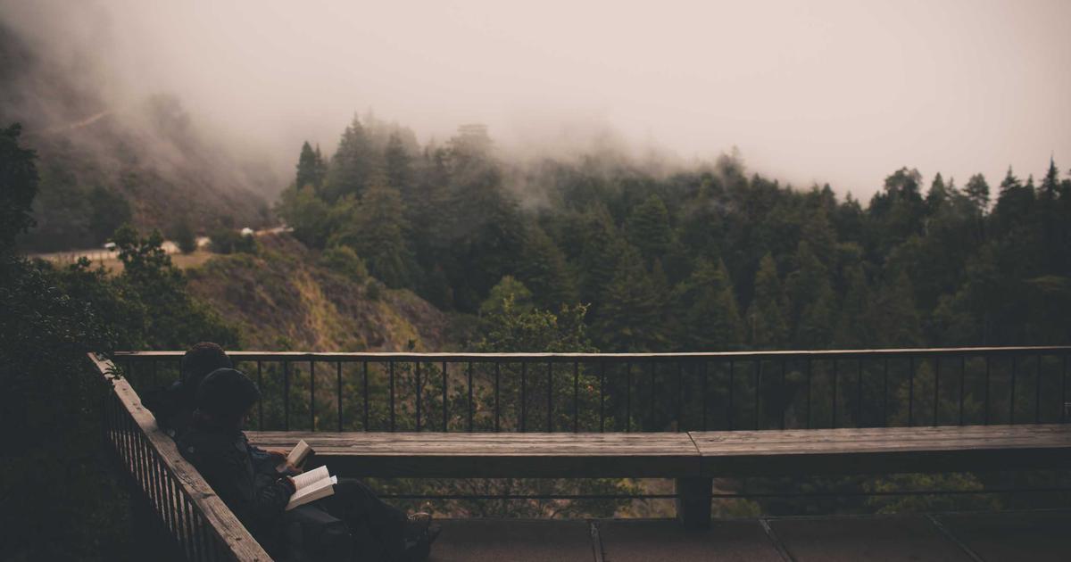 Building Your First Computer Vision Model: A Weekend Project for Python Developers