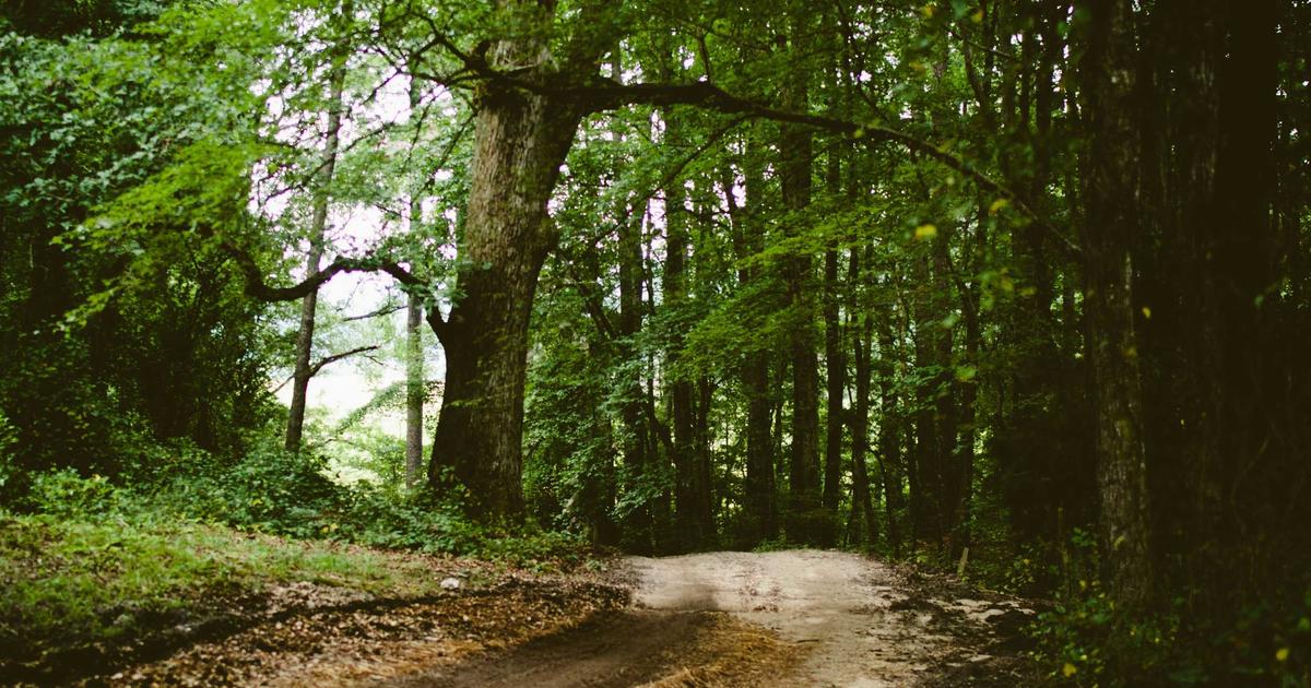 Why Your AI Model Fails in Production: 7 Real-World Deployment Mistakes