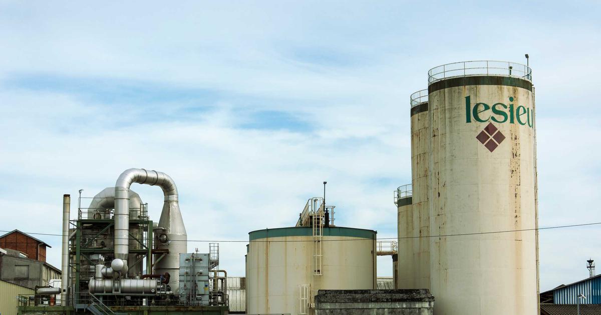 AI-Powered Drug Discovery: Slashing Development Time from 10 Years to 18 Months