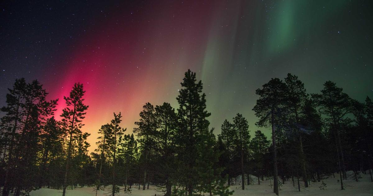 AI Watermarking Standards: How Google, OpenAI, and Meta Track Generated Content