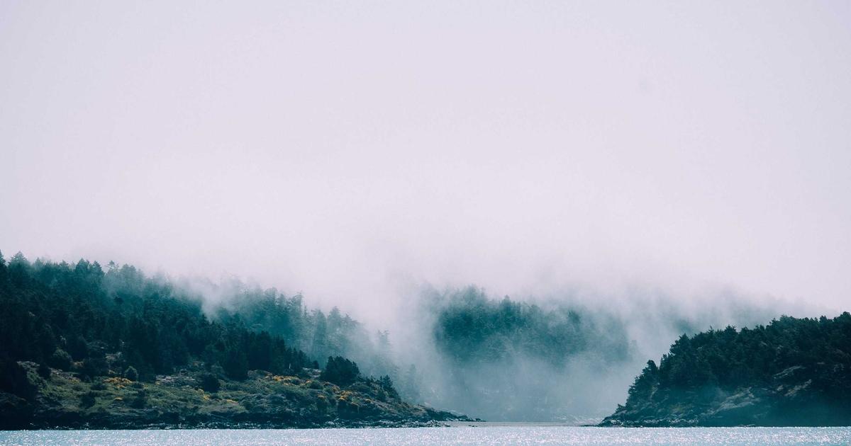 Multimodal AI Models in Healthcare: How Hospitals Use Vision-Language Systems to Read X-Rays and Patient Records Simultaneously