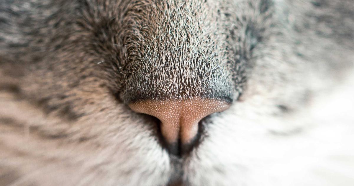 Synthetic Training Data: How Companies Build AI Models Without Real Customer Information