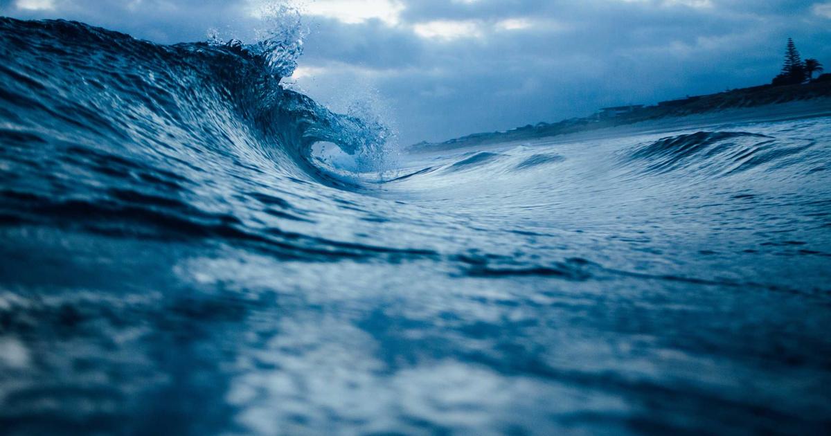 Building Your First Computer Vision App: Object Detection with YOLOv8 and Python in Under 100 Lines