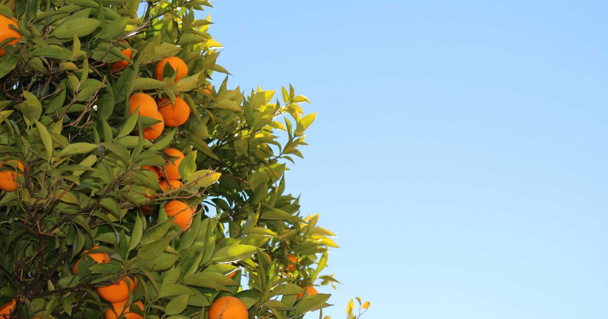 When AI Medical Diagnosis Goes Wrong: Real Cases and What Patients Should Ask Their Doctors